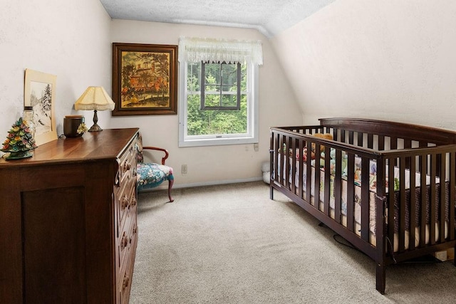 485 Spring Valley Rd, Delhi, NY 13753 - bedroom with vaulted ceiling, carpet, and a textured ceiling