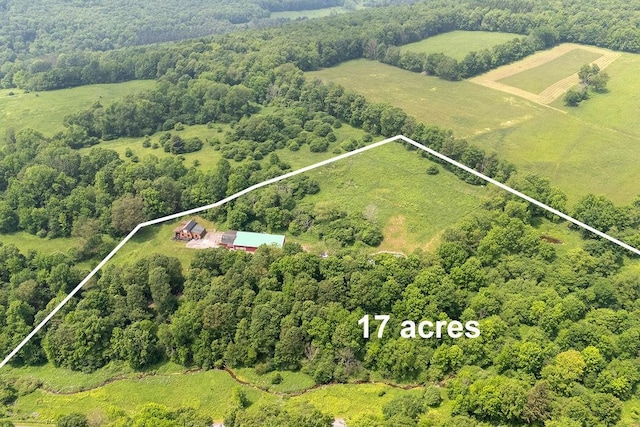 485 Spring Valley Rd, Delhi, NY 13753 - view of property location featuring property boundaries highlighted and a heavily wooded area