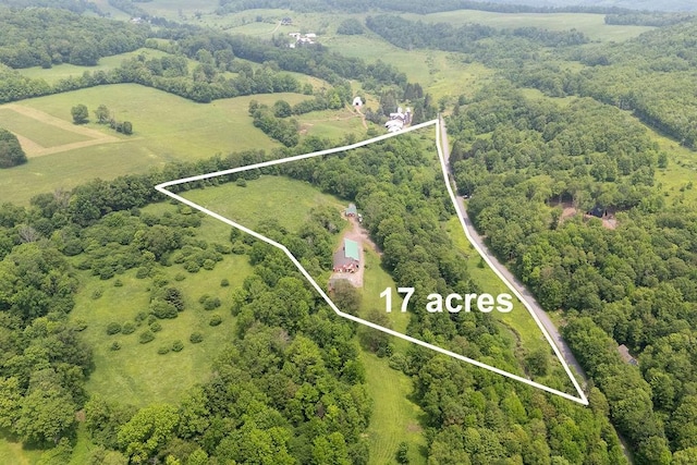 485 Spring Valley Rd, Delhi, NY 13753 - aerial view of property's location featuring a forest and property boundaries highlighted