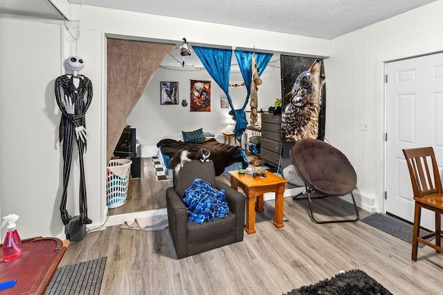 485 Spring Valley Rd, Delhi, NY 13753 - living room with wood finished floors