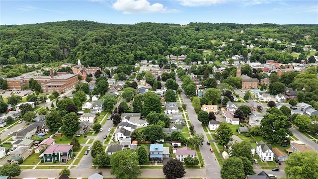703 N Perry St, Dix, NY 14891 - aerial perspective of suburban area with a heavily wooded area