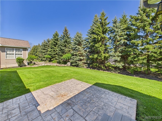 4166 Tisbury Ln, Hamburg, NY 14075 - view of green lawn featuring a patio