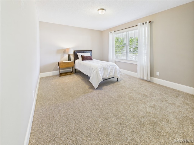 4166 Tisbury Ln, Hamburg, NY 14075 - bedroom with baseboards and carpet floors