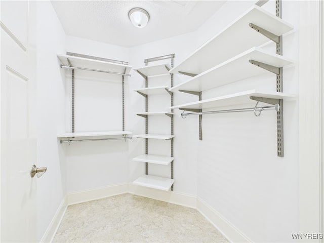 4166 Tisbury Ln, Hamburg, NY 14075 - view of walk in closet