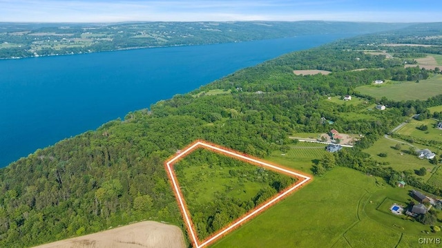 4761 Amerman Rd, Niles, NY 13152