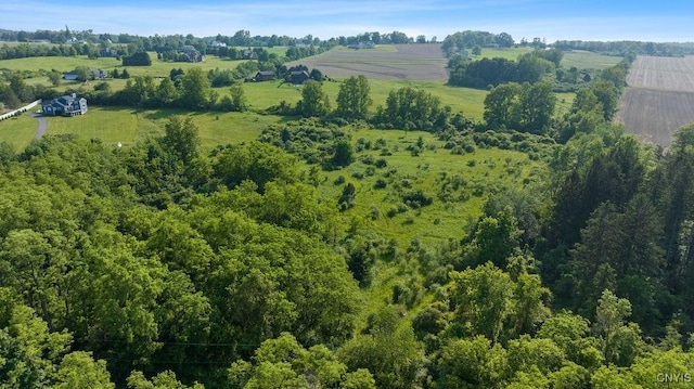 4761 Amerman Rd, Niles, NY 13152
