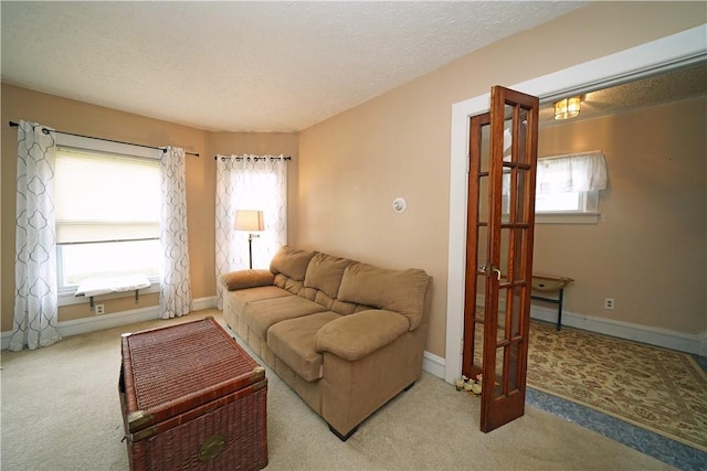 204 E High St, Erwin, NY 14870 - carpeted living area featuring a textured ceiling