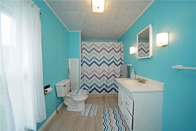 204 E High St, Erwin, NY 14870 - full bath with wood finished floors, a textured ceiling, vanity, curtained shower, and an accent wall