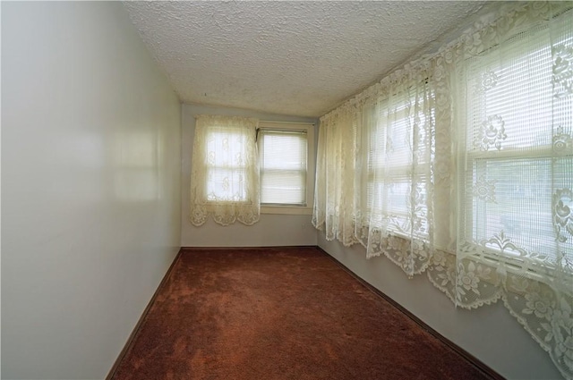 204 E High St, Erwin, NY 14870 - carpeted empty room with a textured ceiling
