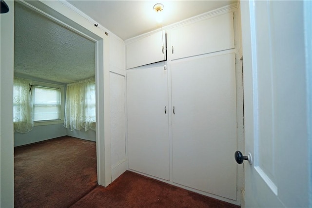 204 E High St, Erwin, NY 14870 - view of closet