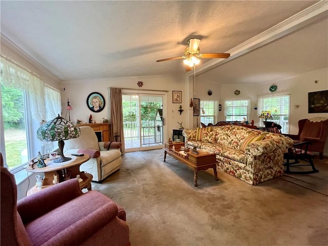 12901 Washburn Rd, Butler, NY 14590 - carpeted living room featuring healthy amount of natural light, ceiling fan, crown molding, and vaulted ceiling