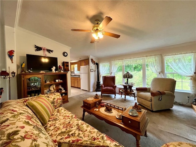12901 Washburn Rd, Butler, NY 14590 - living room with ornamental molding, light colored carpet, a ceiling fan, and a textured ceiling