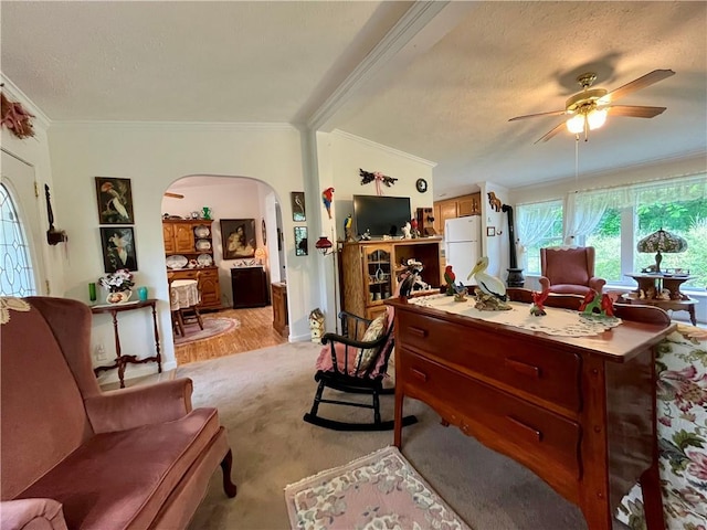 12901 Washburn Rd, Butler, NY 14590 - living room featuring arched walkways, ornamental molding, ceiling fan, a textured ceiling, and light colored carpet