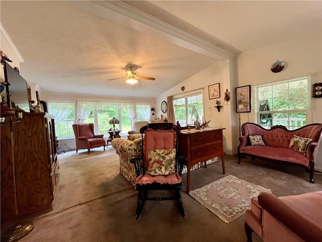 12901 Washburn Rd, Butler, NY 14590 - living room featuring carpet floors, a ceiling fan, and vaulted ceiling