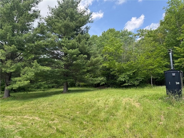 7779 Hamilton Rd, Avoca, NY 14809 - photo 29