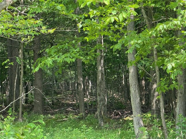 7779 Hamilton Rd, Avoca, NY 14809 - photo 30