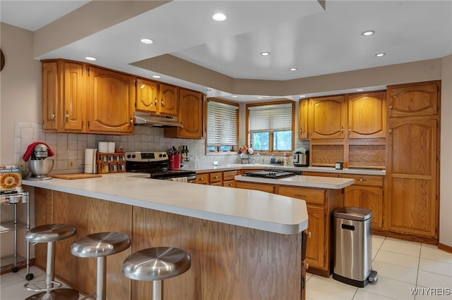 2160 Robert Dr, Niagara, NY 14304 - kitchen featuring electric stove, under cabinet range hood, light countertops, a peninsula, and decorative backsplash