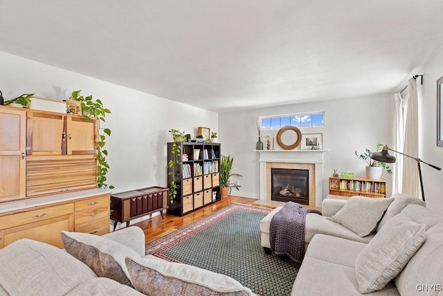 5418 Quamby Rd, Clay, NY 13041 - living room featuring a fireplace and light wood finished floors