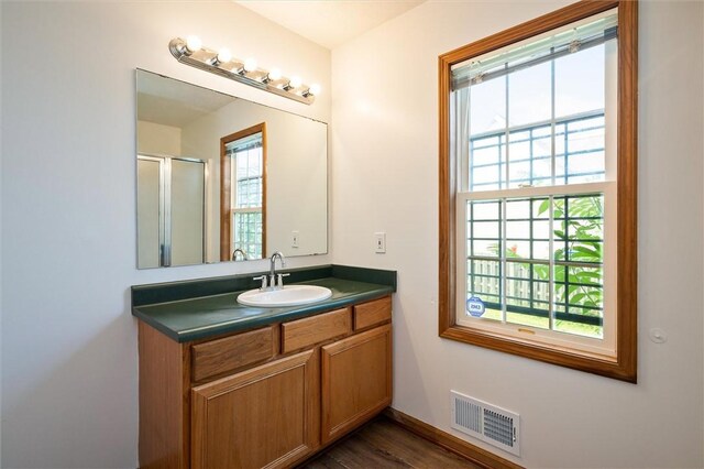 282 Troup St, Rochester, NY 14608 - bathroom featuring vanity, healthy amount of natural light, a shower with shower door, and wood finished floors