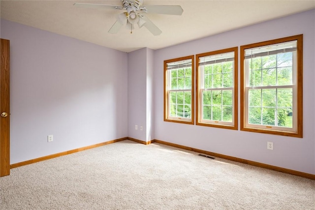 282 Troup St, Rochester, NY 14608 - carpeted empty room with healthy amount of natural light and ceiling fan