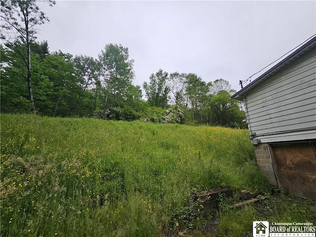 20 N Main St, Bolivar, NY 14715 - view of yard