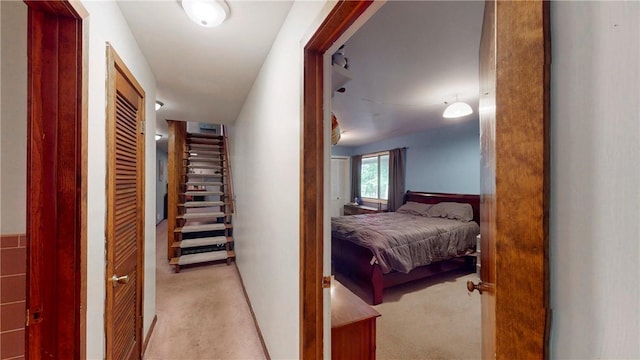 11 Overbrook Rd, Erwin, NY 14870 - corridor featuring light carpet and a wainscoted wall