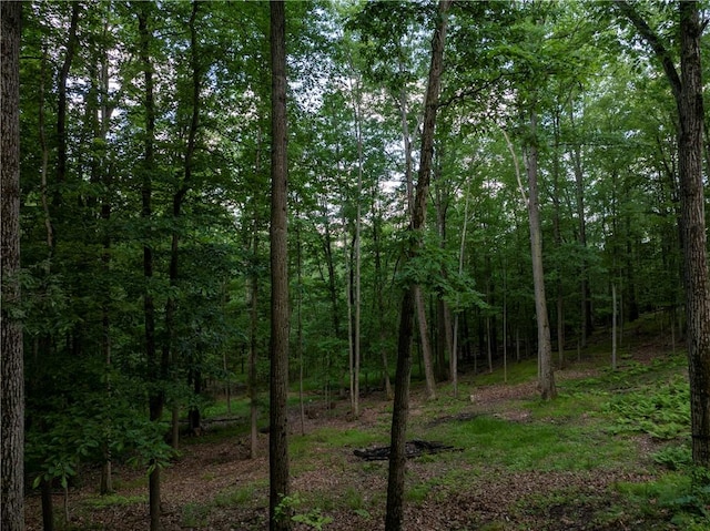 11 Overbrook Rd, Erwin, NY 14870 - view of wooded area