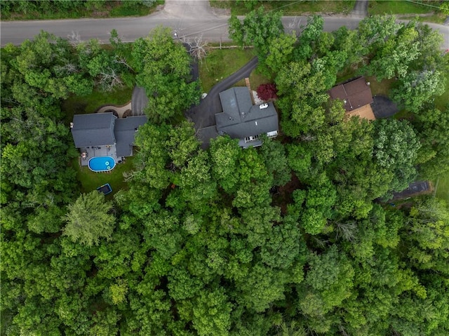 11 Overbrook Rd, Erwin, NY 14870 - view of property location