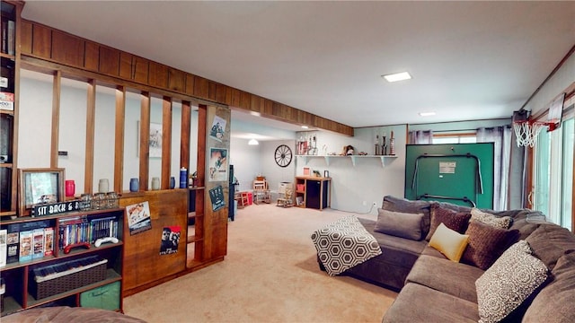 11 Overbrook Rd, Erwin, NY 14870 - living room featuring carpet