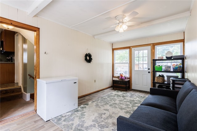 387 Brandon Rd, Irondequoit, NY 14622 - living room with light wood-style floors, beam ceiling, a ceiling fan, crown molding, and wood walls