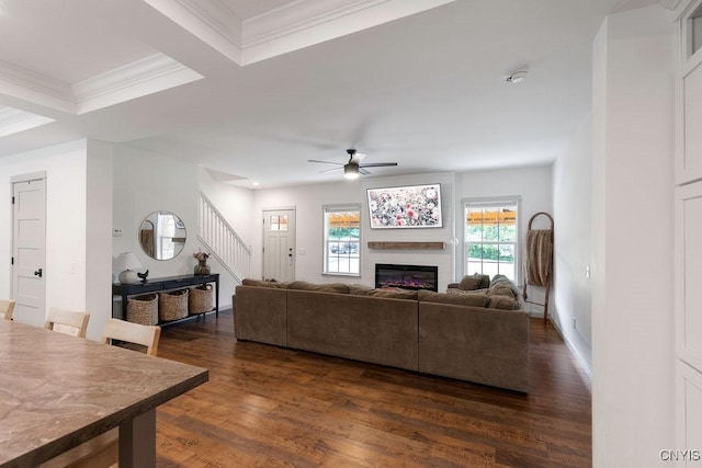 2178 Conley Rd, Sullivan, NY 13037 - living room with ceiling fan, stairs, dark wood-type flooring, a glass covered fireplace, and crown molding