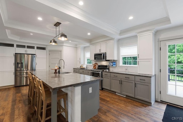2178 Conley Rd, Sullivan, NY 13037 - kitchen with stainless steel appliances, a raised ceiling, gray cabinets, dark wood finished floors, and ornamental molding