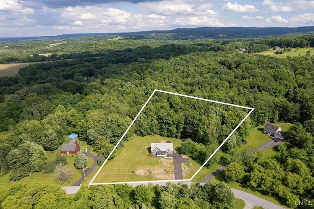 2178 Conley Rd, Sullivan, NY 13037 - aerial view of property's location featuring a forest and property parcel outlined