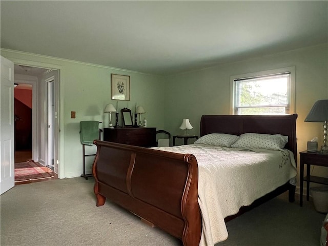 100 Curren Dr, Elmira, NY 14905 - view of carpeted bedroom