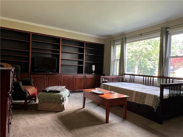 100 Curren Dr, Elmira, NY 14905 - bedroom with crown molding and light carpet