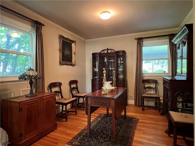 100 Curren Dr, Elmira, NY 14905 - office space featuring light wood finished floors and crown molding