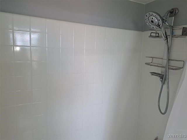 1088 Delaware Ave Unit 6C, Buffalo, NY 14209 - bathroom view of a tile shower