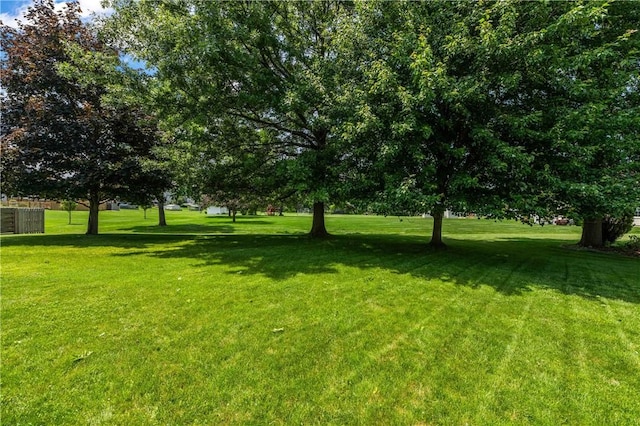 203 Torrey Pine Dr, Greece, NY 14612 - view of grassy yard