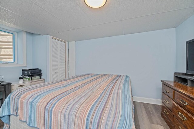 203 Torrey Pine Dr, Greece, NY 14612 - bedroom with wood finished floors and a closet