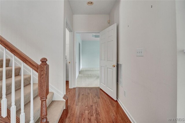 41 Greenside Dr, Grand Island, NY 14072 - photo 22