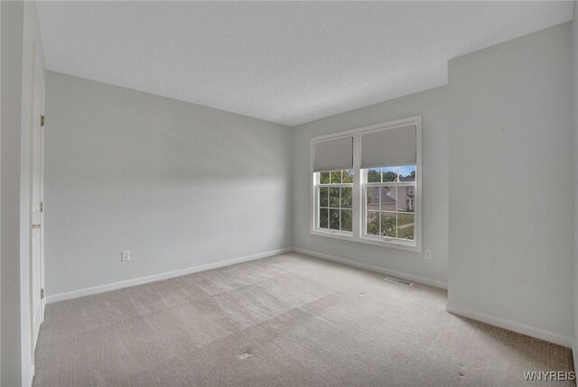 41 Greenside Dr, Grand Island, NY 14072 - photo 32