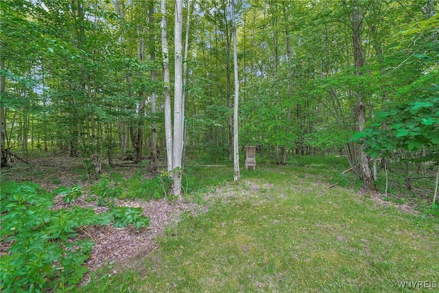 3735 County Road 34, Wirt, NY 14739 - view of yard featuring a view of trees