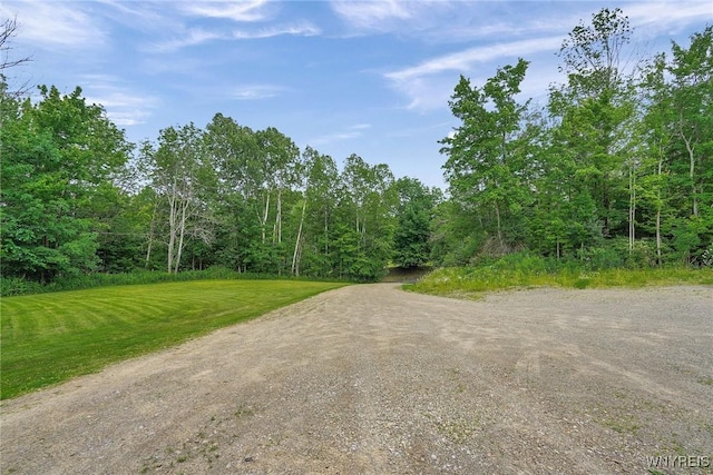 3735 County Road 34, Wirt, NY 14739 - view of dirt / gravel road with a view of trees