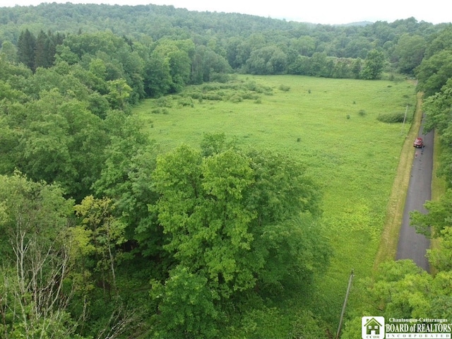 4871 Bayview Rd, Ellery, NY 14712