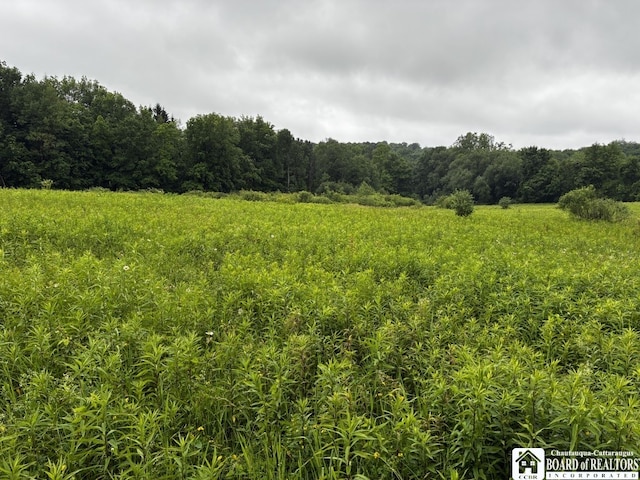 4871 Bayview Rd, Ellery, NY 14712