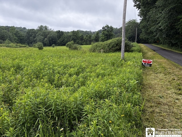 4871 Bayview Rd, Ellery, NY 14712
