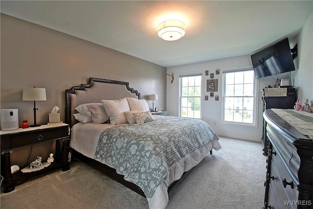 5472 Sycamore Ln, Hamburg, NY 14075 - bedroom with light colored carpet