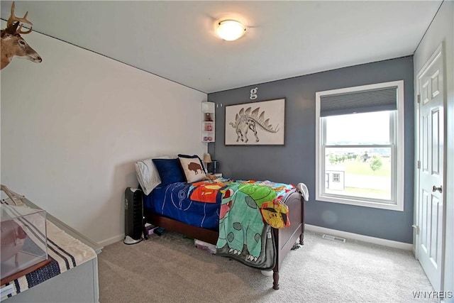 5472 Sycamore Ln, Hamburg, NY 14075 - bedroom with carpet floors and baseboards