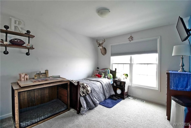 5472 Sycamore Ln, Hamburg, NY 14075 - view of carpeted bedroom
