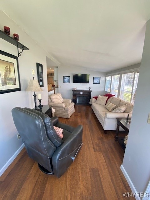 4192 Upson Point Rd, Starkey, NY 14837 - living room with wood finished floors, vaulted ceiling, and a fireplace